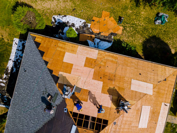 Best Flat Roof Repair Services  in Pebble Creek, FL
